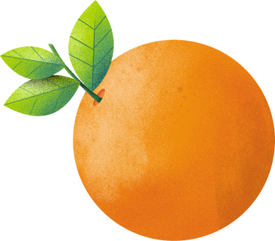 Orange Illustration